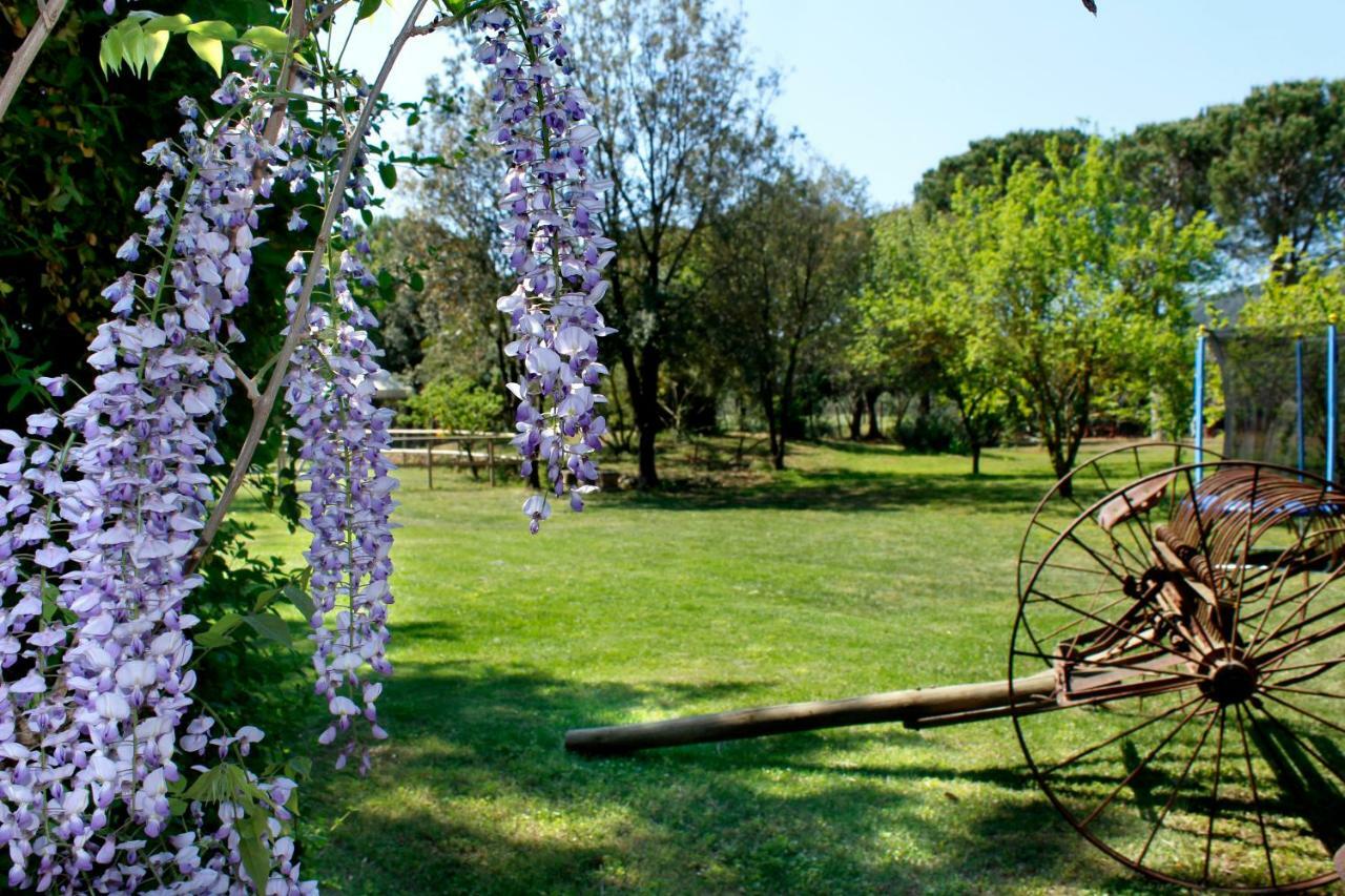Vila Agriturist Prile Castiglione della Pescaia Exteriér fotografie